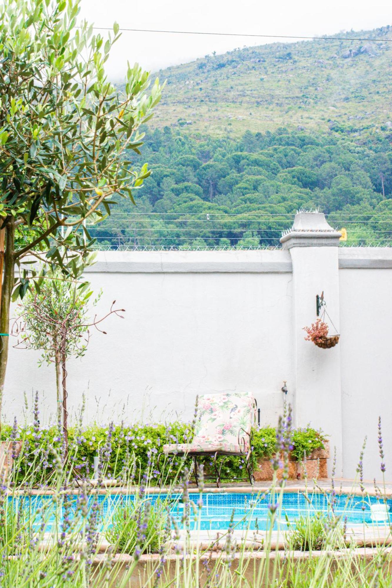 Olive Tree Lodge Paarl Exterior foto